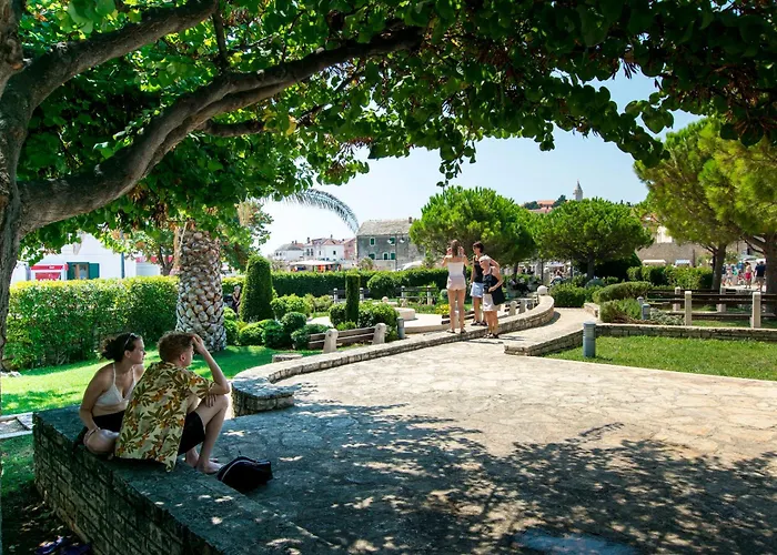 Ana * 프리모스턴