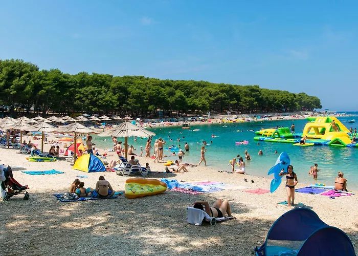 Ana * 프리모스턴